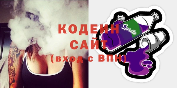 МДПВ Дмитриев