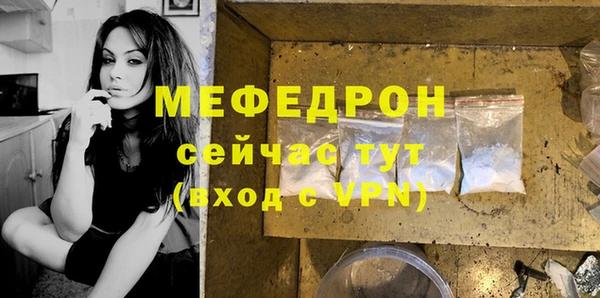 МДПВ Дмитриев