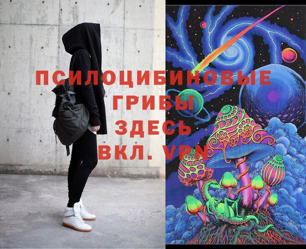 МДПВ Дмитриев