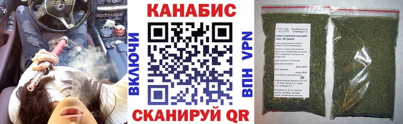 Конопля гибрид  что такое   Камызяк 